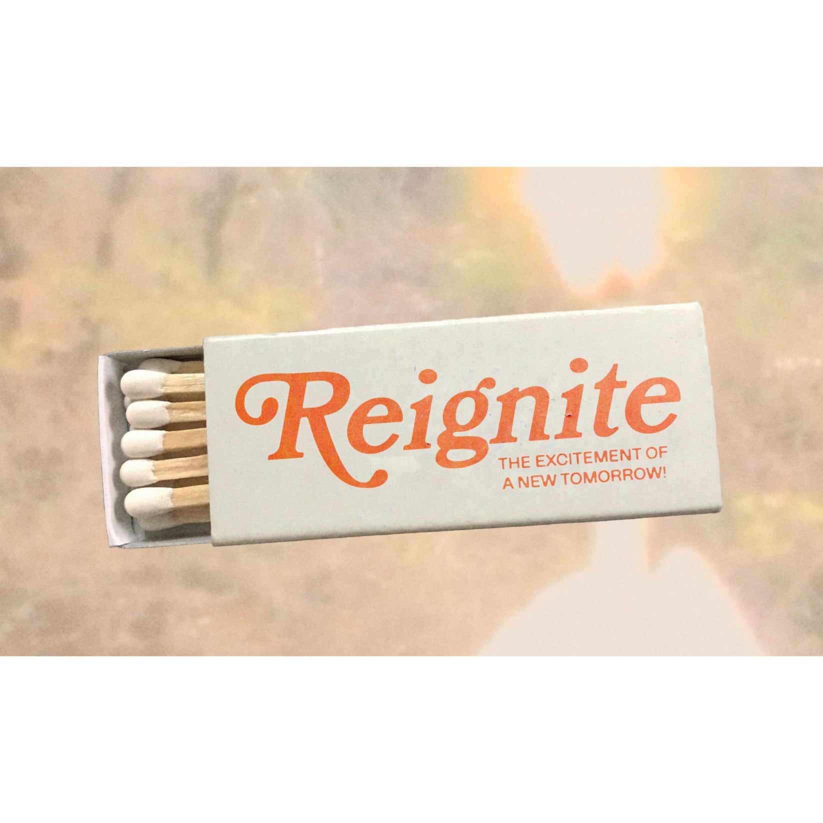 Introducing Reignite – re—inc
