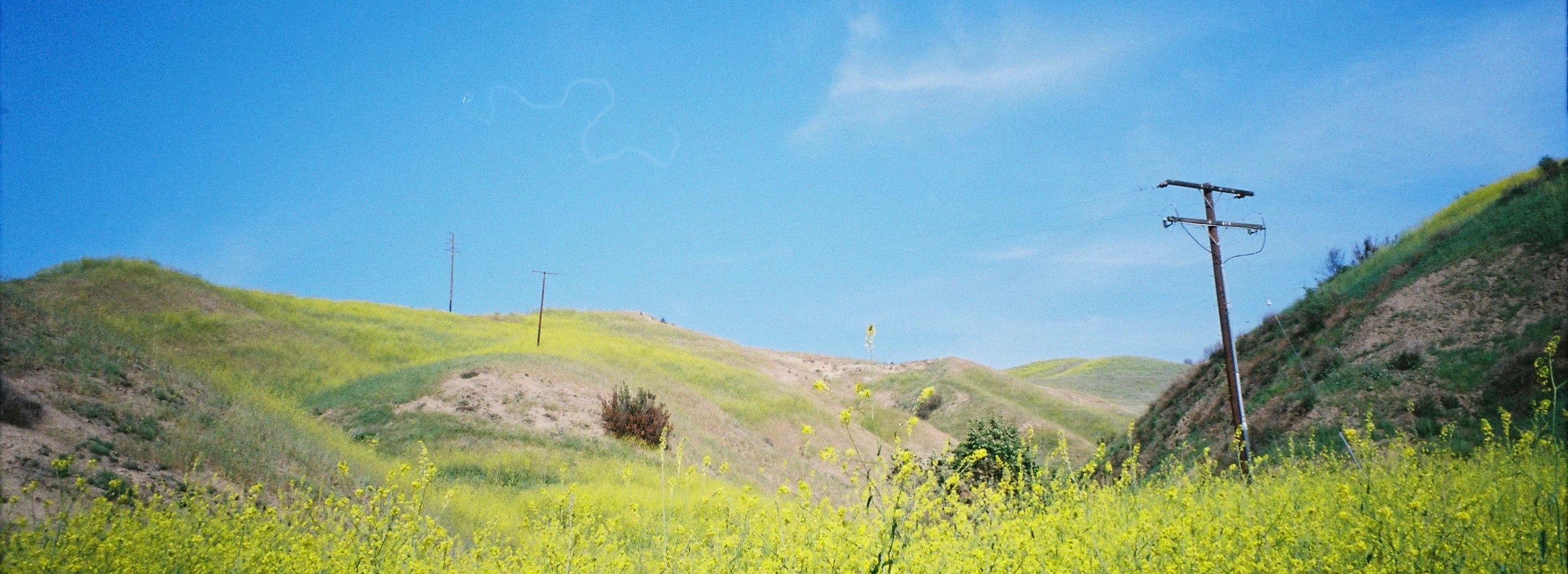 Earth Day Every Day