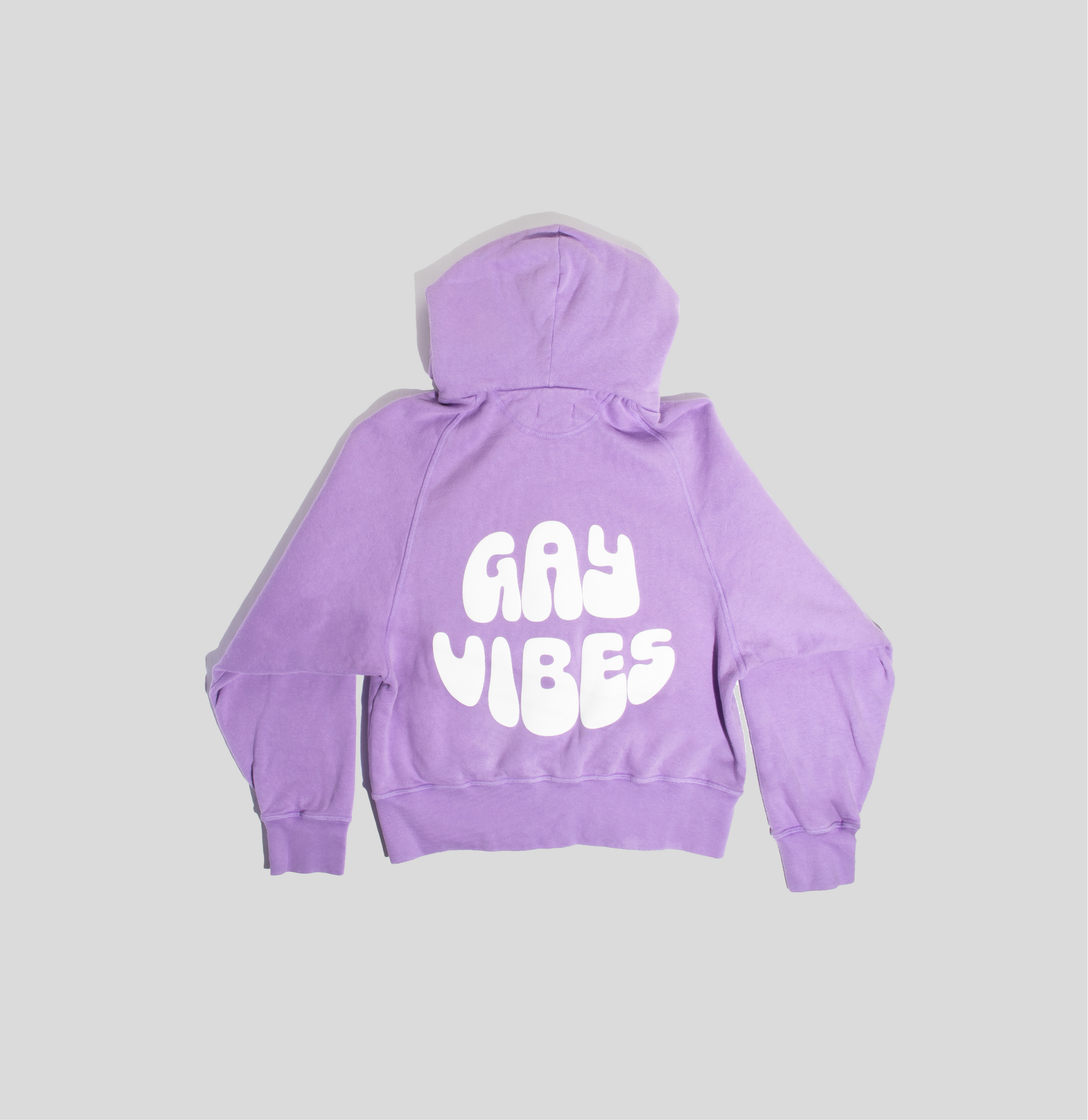 Revolutionary Love Gay Vibes Zip Hoodie – re—inc