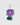 #style_violet