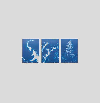 Fractals Cyanotype Triptych